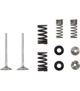 VALVE EX MSE KAW 250