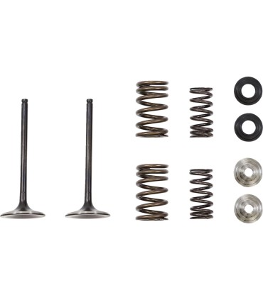 VALVE IN MSE HON 250