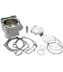 CYLINDER KIT LTR450 100M