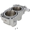 CYLINDER STD RZR 900
