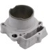 CYLINDER STD MOOSE FC250