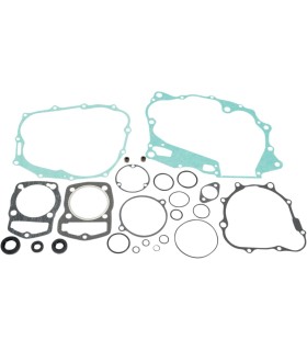 MOTOR GSKT/SEAL-CRF230 03