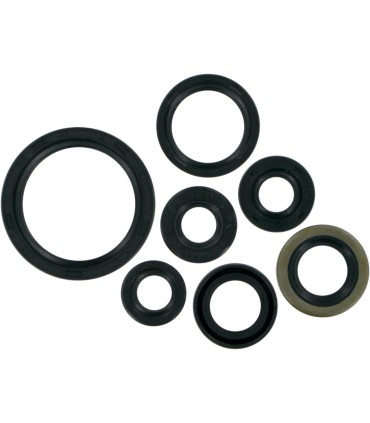 SEAL-KIT OIL-KLX/DRZ400