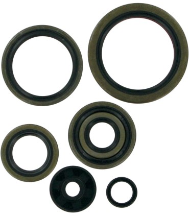 MTR SEALS-250/300SX EXC