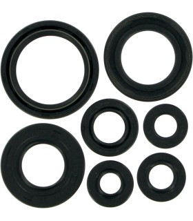 MTR SEALS-PW80 86-