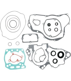 MTR GSKT/SEAL SET-RM250