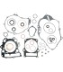 GASKET-KIT W O/S-RAPTOR