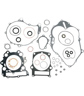 GASKET-KIT W O/S-RAPTOR