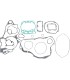 GASKET-KIT CMPLT RM