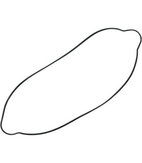 GASKET CLUTCH CVR 250-300