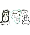 GASKET KIT LTR450 100MM