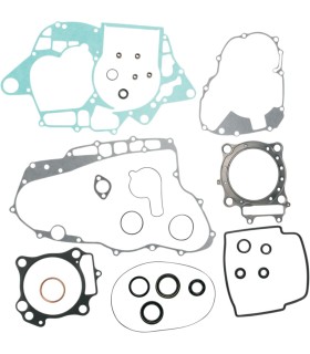 GASKETS W OIL SL TRX450R