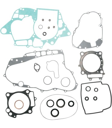 GASKETS W OIL SL TRX450R