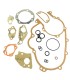 GASKET KIT COMPLETE VES