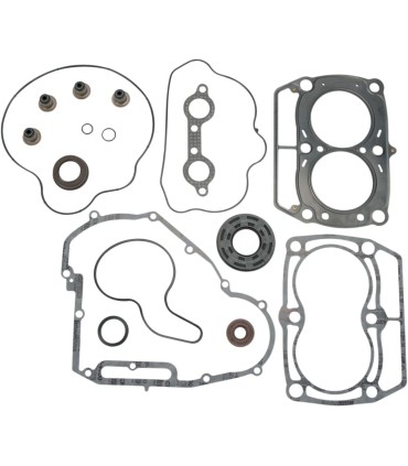 GASKET KT COM W/SLS POL