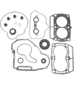 GASKET KT COM W/SLS POL