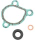 GASKET KIT WP REPAIR