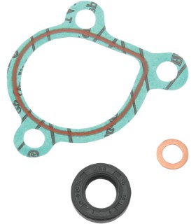 GASKET KIT WP REPAIR