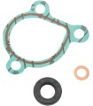 GASKET KIT WP REPAIR