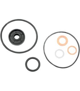 GASKET KIT WP REPAIR
