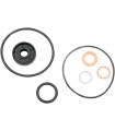 GASKET KIT WP REPAIR