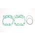 GASKET KIT RACE RM250