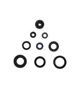 ENGINE OIL SEALS KIT