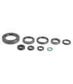 ENGINE OIL SEALS KIT