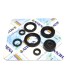 ENGINE OIL SEALS KIT