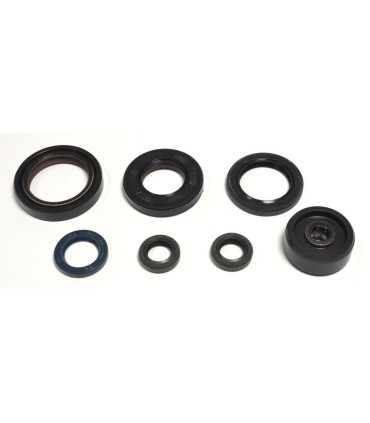 ENGINE OIL SEALS KIT