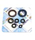 ENGINE OIL SEALS KIT