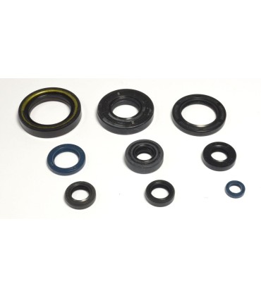 ENGINE OIL SEALS KIT