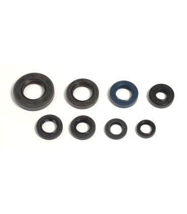 ENGINE OIL SEALS KIT