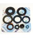 ENGINE OIL SEALS KIT