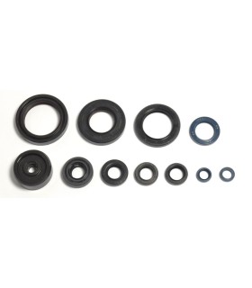 ENGINE OIL SEALS KIT