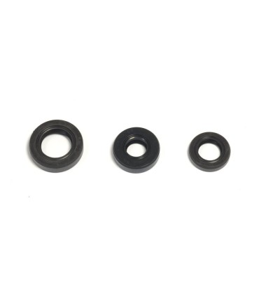 ENGINE OIL SEALS KIT