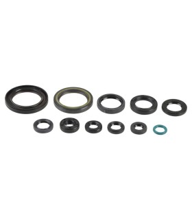 ENGINE OIL SEALS KIT