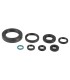 ENGINE OIL SEALS KIT