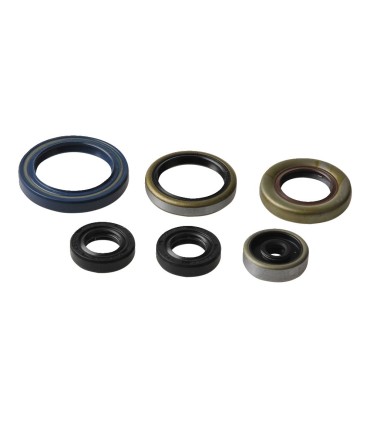 ENGINE OIL SEALS KIT