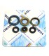 ENGINE OIL SEALS KIT