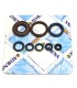 ENGINE OIL SEALS KIT
