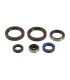 ENGINE OIL SEALS KIT