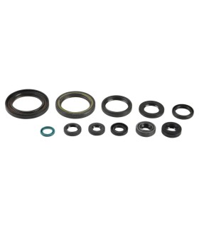 ENGINE OIL SEALS KIT