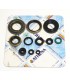 ENGINE OIL SEALS KIT