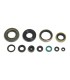 ENGINE OIL SEALS KIT