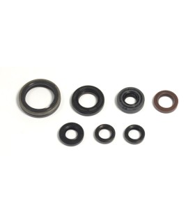 ENGINE OIL SEALS KIT