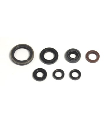 ENGINE OIL SEALS KIT