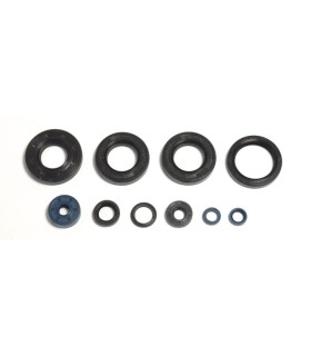 ENGINE OIL SEALS KIT