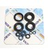 ENGINE OIL SEALS KIT