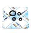 ENGINE OIL SEALS KIT